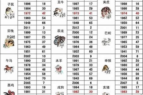 九五年 生肖|1995年1月出生属什么生肖